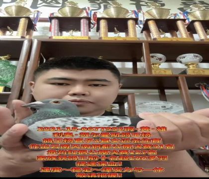 ���ٱ�Ѫ�����º،���˹�������ֱ��X�������ֱŮ