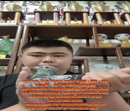 �ص��Ƽ������º،���˹����ӥ��ֱ��X����ӥ��ֱŮ