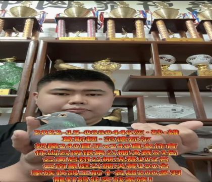 �����������ۣ���˹������240ֱ��X240ֱŮ��������