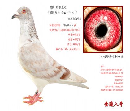 3���¹� �������桰���ʺ칫 ղɭ���731��-����ɽ��ղɭ