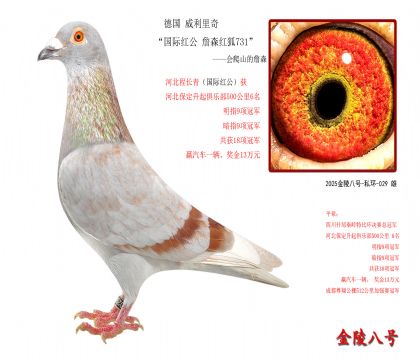 8���¹� �������桰���ʺ칫 ղɭ���731��-����ɽ��ղɭ