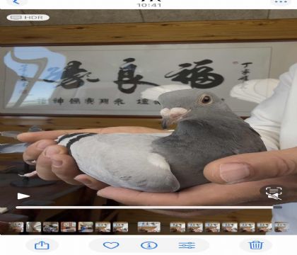 詹森红魔王回血