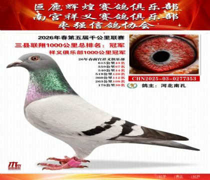 ����ǧ�����������ھ�