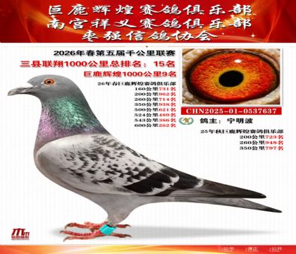 ����ǧ����������15��