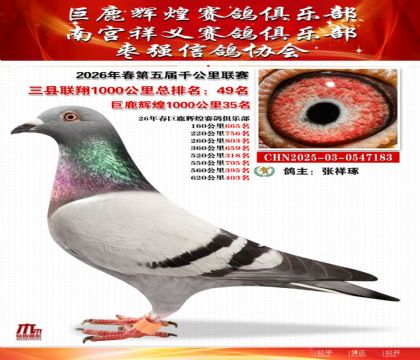 ����ǧ����������49��