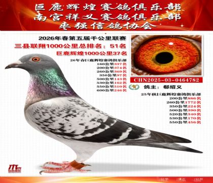 ����ǧ����������51��