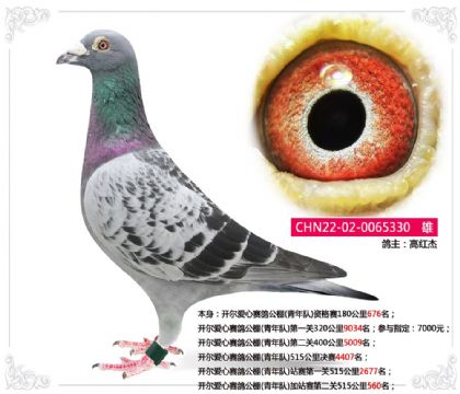 �����������빫��(�����)��վ���ڶ���515����560��