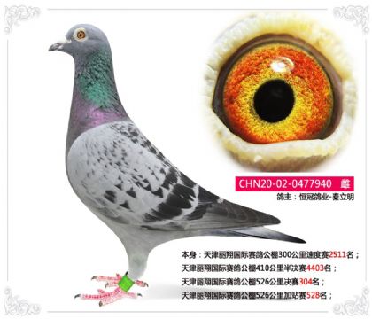 �������������빫��526�������304��  ��	