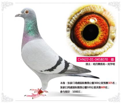�żҿں�ʢ�������빫��500�������609��   ��	