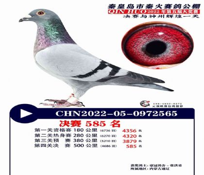 �ӱ��ػʵ��ػ����빫��500�������585��  ��	