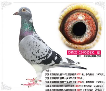 ���׿�����빫��525�����վ��416��   ��	
