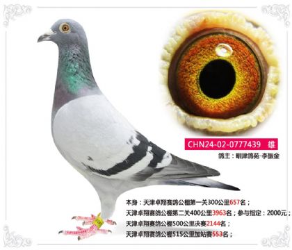 ���׿�����빫��515�����վ��553��   ��	