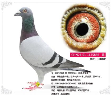 ������ҵ---����.�ض��� 836   ��	