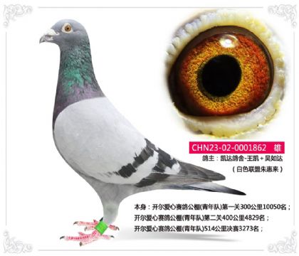 �����������빫��(�����)514�������3273��   ��