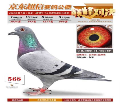 �����������빫��517����568��   ��	