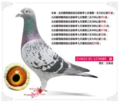 ����˳��������ֲ������߹����ۺϸ���90��   ��	