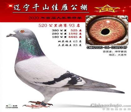 ����ǧɽ�������빫��520�������93��  ��