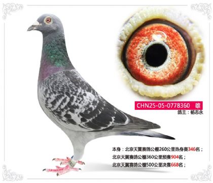 �����������빫��500�������668��   ��	