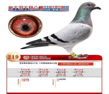 �żҿ���ǧ��ǧ�����빫��500�����ܾ���219��   ��	