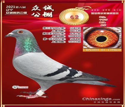�����ڳ����빫��560�����վ��62��   ��	