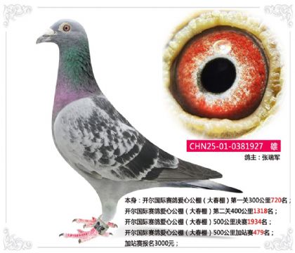�����������밮�Ĺ�����500�����վ��479��  ��