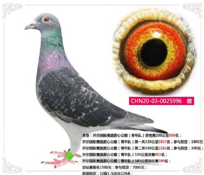�����������밮�Ĺ������ӣ�530�������692��   ��