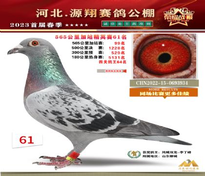 �ӱ�Դ�辫Ӣ���빫��1�Ŵ���565�����վ��61��  ��	
