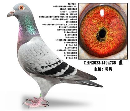 ĸ��