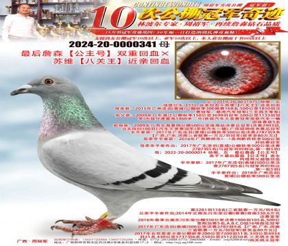 ���ղɭ�������š�˫�ػ�Ѫ����ά���˹��������׻�Ѫ