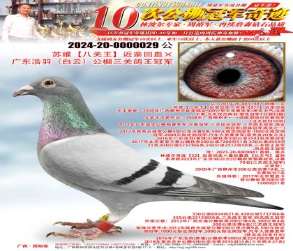 ��ά���˹��������׻�Ѫ���㶫���𣨰��ƣ��������ظ����ھ�