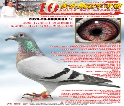 ��ά���˹��������׻�Ѫ���㶫���𣨰��ƣ��������ظ����ھ�