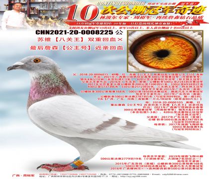 ��ά���˹�����˫�ػ�Ѫ�����ղɭ�������š����׻�Ѫ
