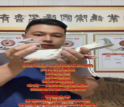 大奔直子x格里佩!亚军之母!高级速度