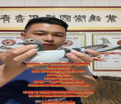 本舍一线天花板血脉!所向无敌高级种雄