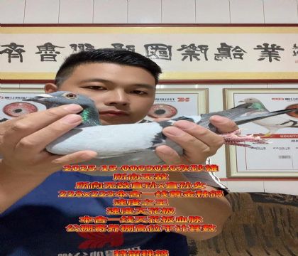 本舍一线天花板血脉!所向无敌回血种雄