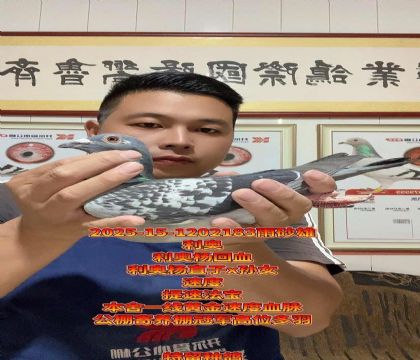 提速法宝!利奥杨直子x孙女!高级种雄