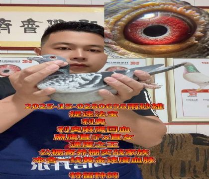 利奥麻鹰直子x直女回血提速高级种雄