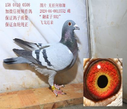 С�ɸ���ɸ� �Ƹ�552