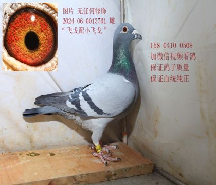 С�ɸ���ɸ� �Ƹ�761