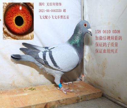 С�ɸ���ɸ� �Ƹ�5550