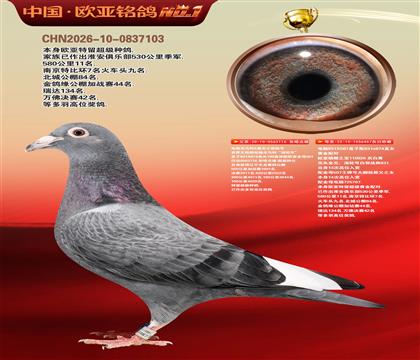 ����Xɣ��ʿ116X����926ֱŮ457