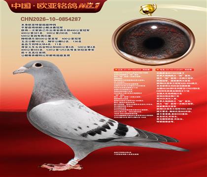 ����851ֱ��622�ھ�X����851X818ֱŮ697