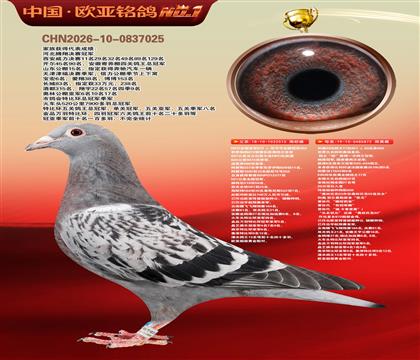 NPOȫ���Ǿ�872X����KBOB����515