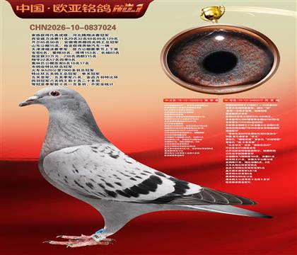 NPOȫ���Ǿ�872X����KBOB����515