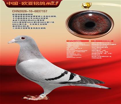 ղɭ427X520ֱ��919���ٺ�X��Ъ�����040