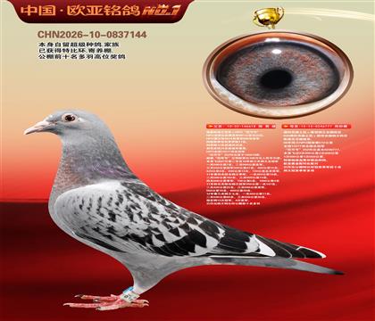 ʩ����������Ǿ�618X��ƿ�������777