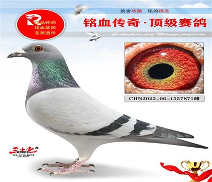 �����ֱ�ӡ�ֱŮ