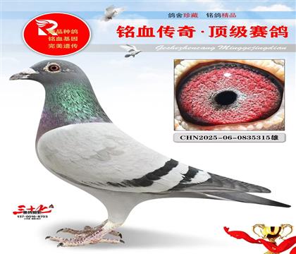 ������ֱ�ӡ�������ȫƽ��