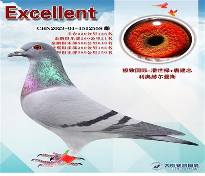 ���¹��ʣ�����558