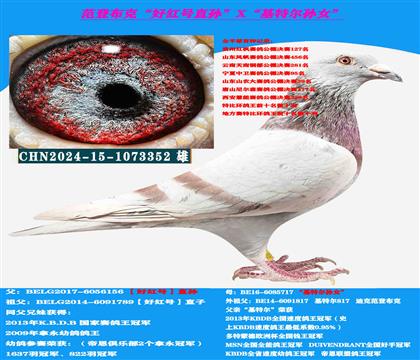 ���ص��Ƽ������ǲ��ˡ��ú�š������ָ�